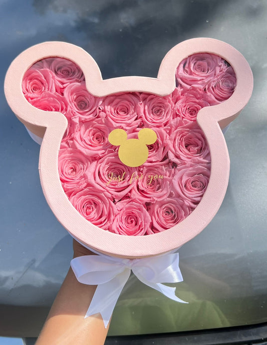 Mickey Mouse Box